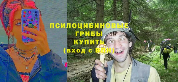 a pvp Алзамай